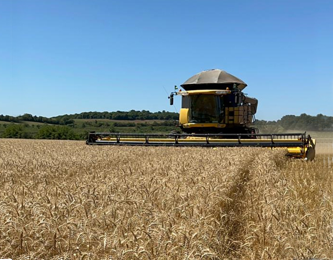 Planejar o ponto certo da uniformização de (dessecação) em trigo e canola faz toda diferença no resultado final!
